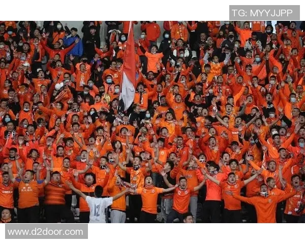 中国与卡塔尔比赛地点揭晓引发球迷热议与期待